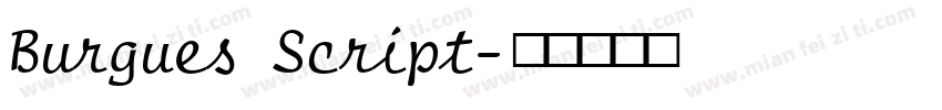 Burgues Script字体转换